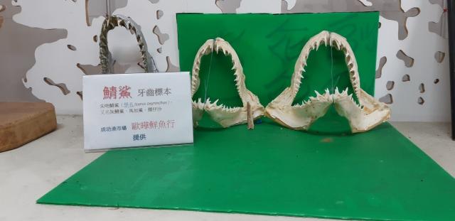 https://www.smjh.hlc.edu.tw/uploads/tadgallery/2021_04_14/1391_12.09校外教學－成功故事館_210413_17.jpg 