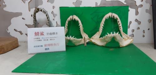 12.09校外教學－成功故事館_210413_18.jpg